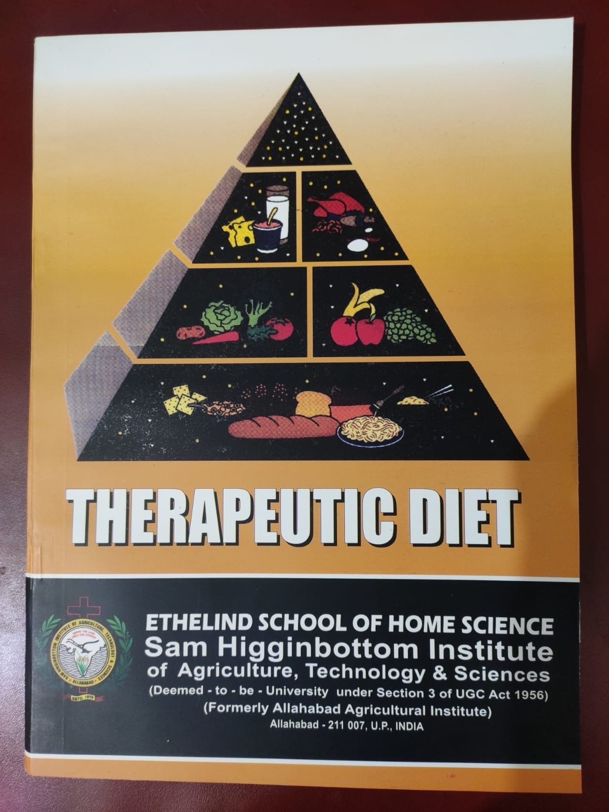 Therapeutic Diet book cover
